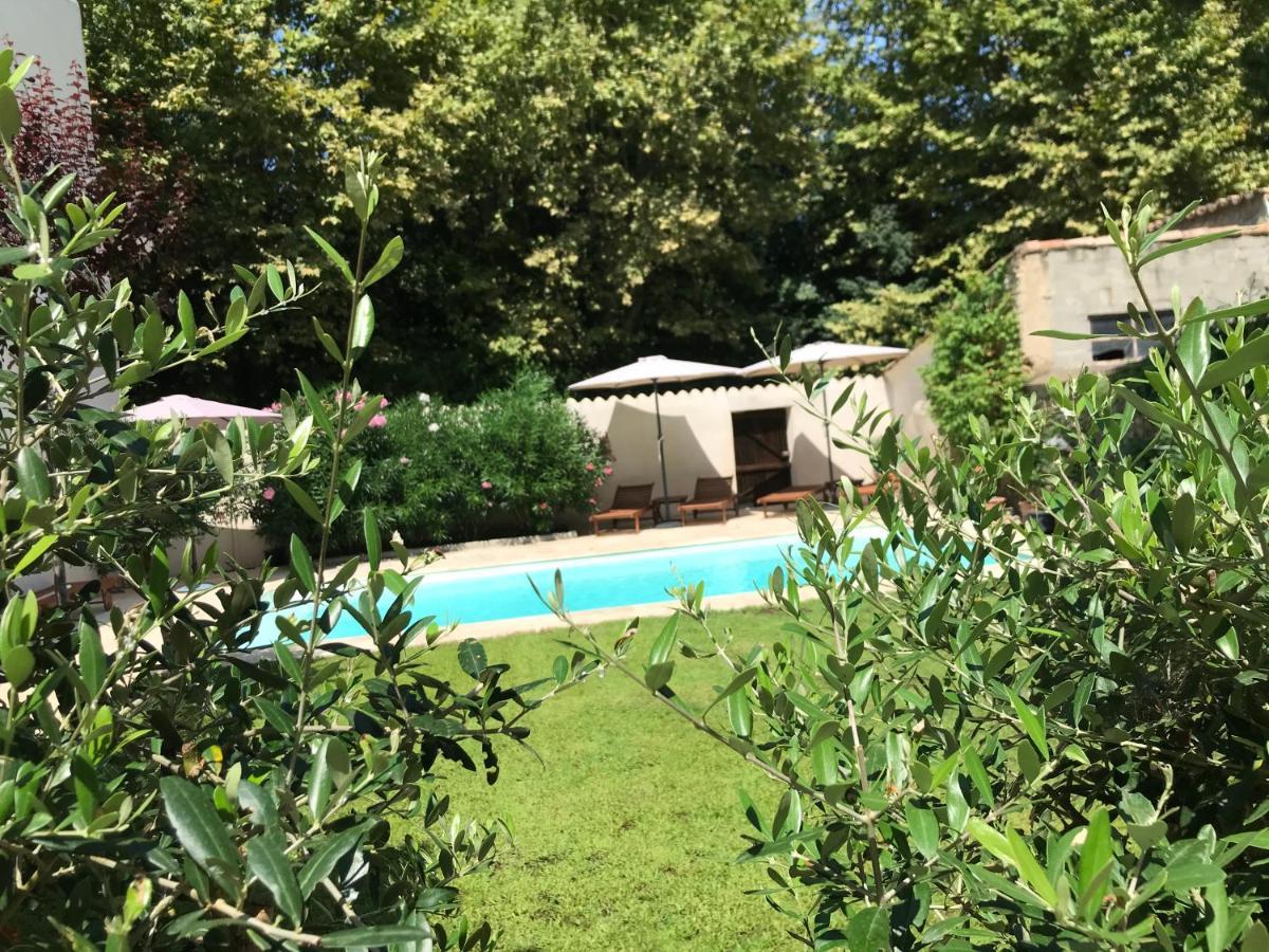 Maison La Vie Est Belle Luc-sur-Orbieu Buitenkant foto